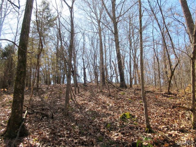 10331 Hopkins Road, Potosi, MO 63664