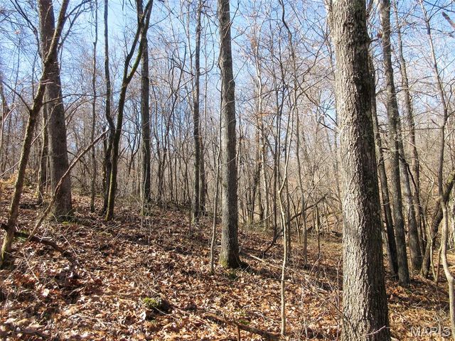 10331 Hopkins Road, Potosi, MO 63664