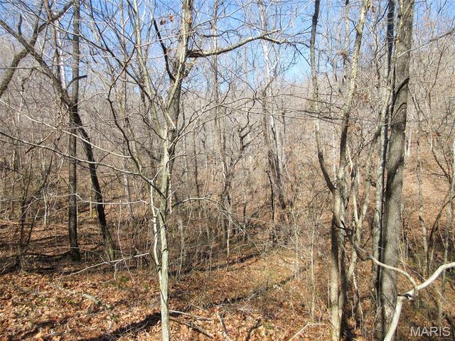 10331 Hopkins Road, Potosi, MO 63664