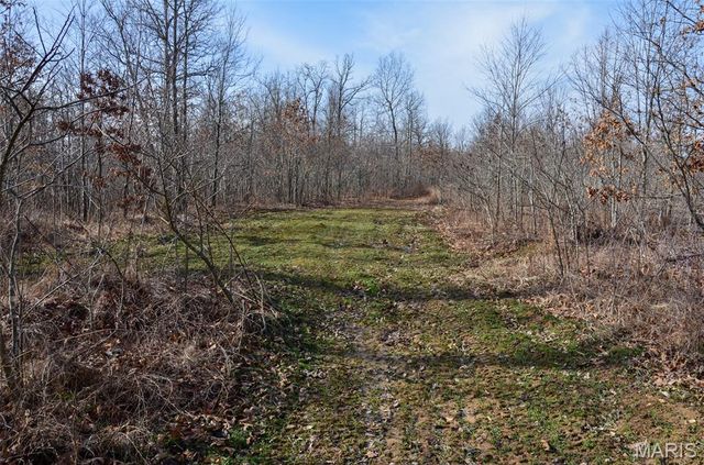 10331 Hopkins Road, Potosi, MO 63664