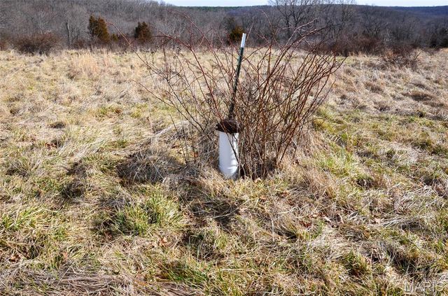 10331 Hopkins Road, Potosi, MO 63664