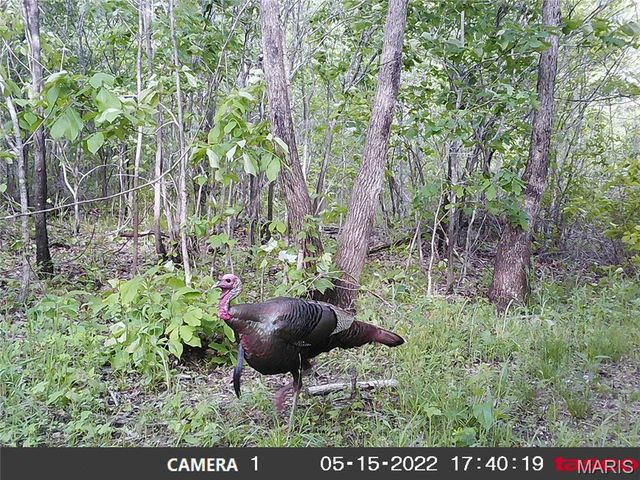 10331 Hopkins Road, Potosi, MO 63664