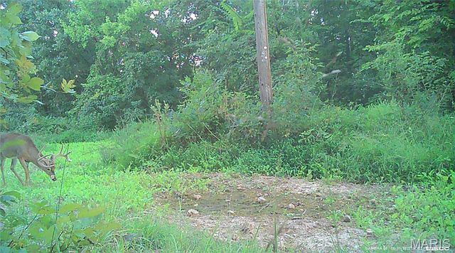 10331 Hopkins Road, Potosi, MO 63664