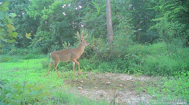 10331 Hopkins Road, Potosi, MO 63664