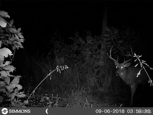 10331 Hopkins Road, Potosi, MO 63664