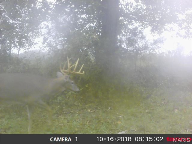 10331 Hopkins Road, Potosi, MO 63664