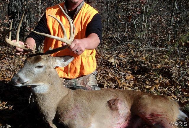 10331 Hopkins Road, Potosi, MO 63664