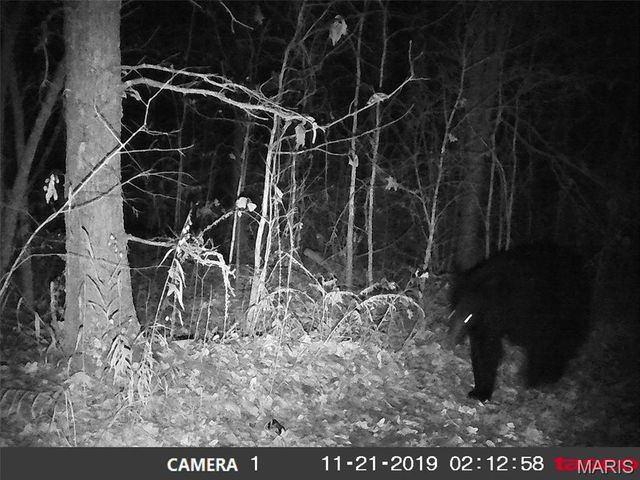 10331 Hopkins Road, Potosi, MO 63664