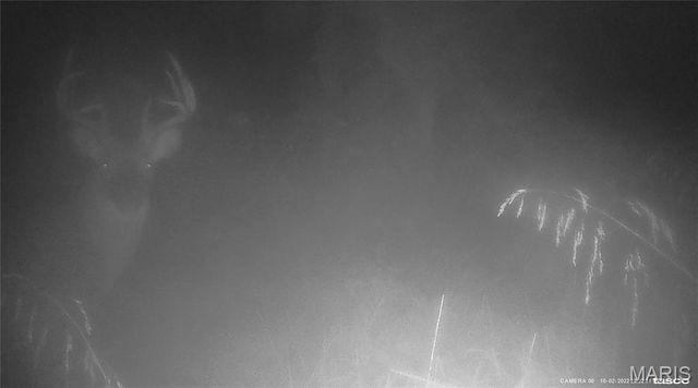 10331 Hopkins Road, Potosi, MO 63664