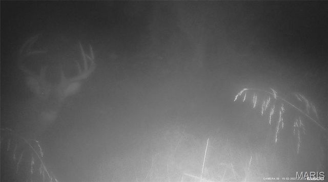 10331 Hopkins Road, Potosi, MO 63664