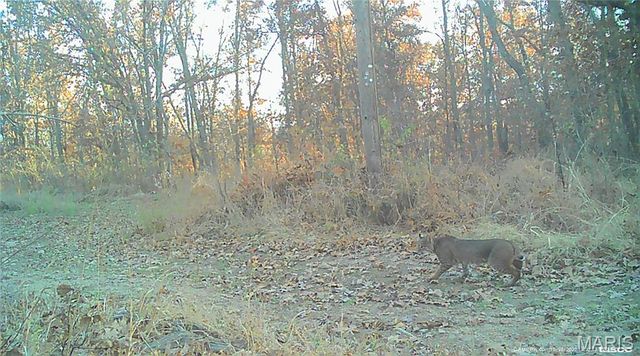 10331 Hopkins Road, Potosi, MO 63664