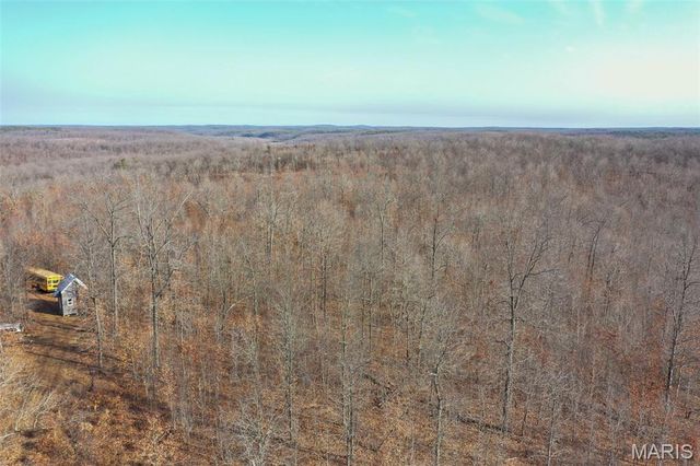 10331 Hopkins Road, Potosi, MO 63664