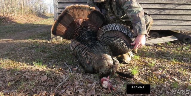 10331 Hopkins Road, Potosi, MO 63664