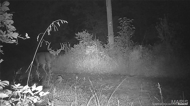 10331 Hopkins Road, Potosi, MO 63664