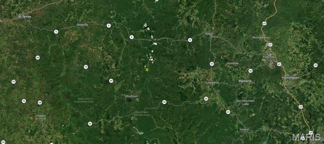 10331 Hopkins Road, Potosi, MO 63664