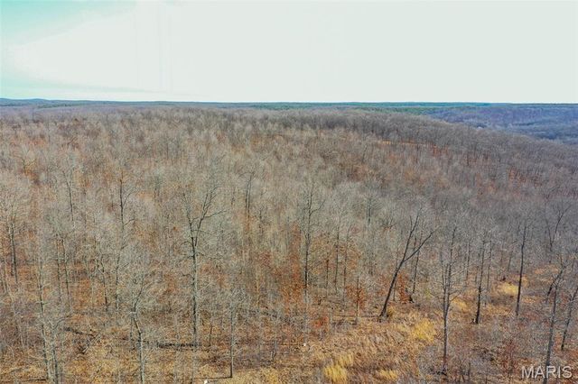 10331 Hopkins Road, Potosi, MO 63664