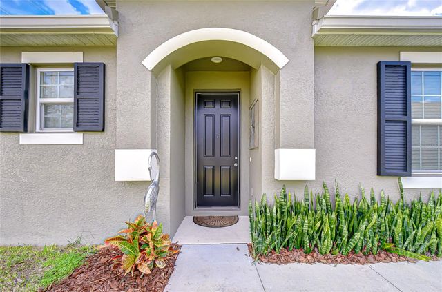 10497 HERON HIDEAWAY LOOP, Land O Lakes, FL 34638