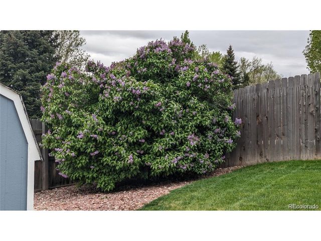 1786 Wintergreen Pl, Loveland, CO 80537