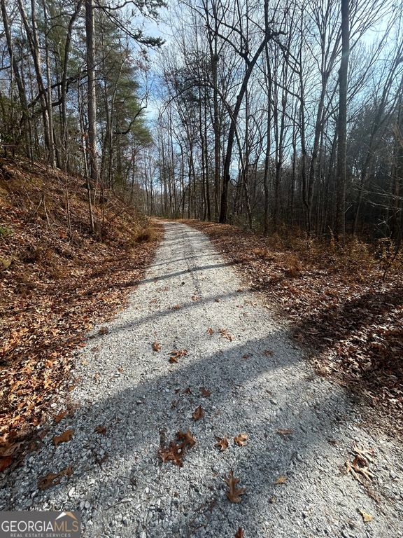 0 Amaryllis Lane, Tiger, GA 30576 — photo 2