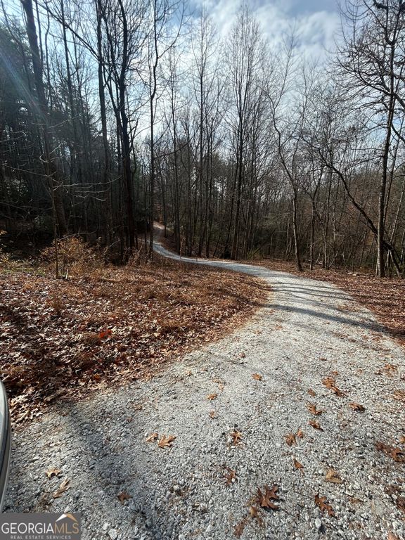 0 Amaryllis Lane, Tiger, GA 30576 — photo 3