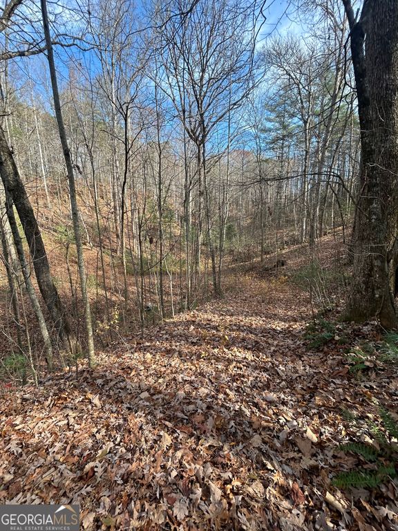 0 Amaryllis Lane, Tiger, GA 30576 — photo 5