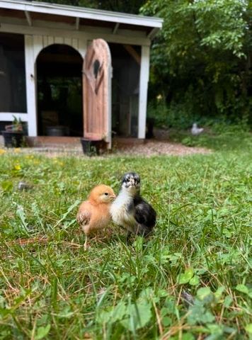 12 Campmeeting Rd, Topsfield, MA 01983