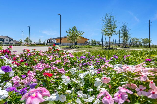 61 Shining Point Drive, Waller, TX 77484