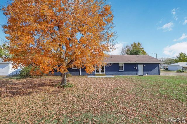 306 Williams Street, Fredericktown, MO 63645