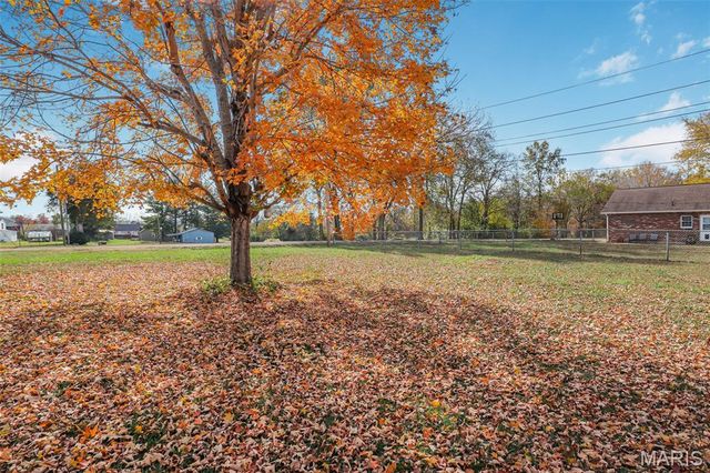 306 Williams Street, Fredericktown, MO 63645