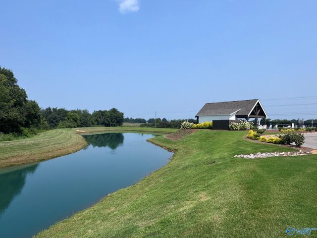215 Charlie Lee Circle, Meridianville, AL 35759