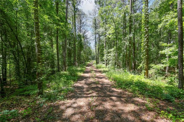 0 Manning Gin Road, Monroe, GA 30656