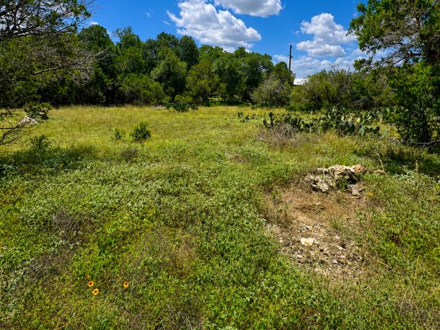 6718 Spring Branch Rd, Spring Branch, TX 78070