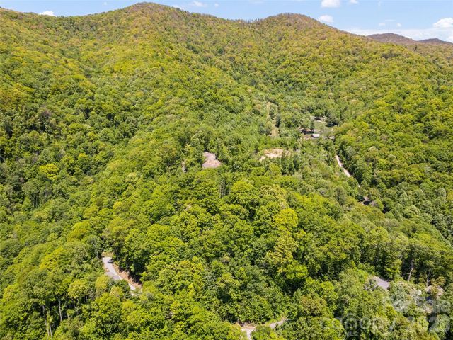 00 Triple Creek Drive 43, Clyde, NC 28721