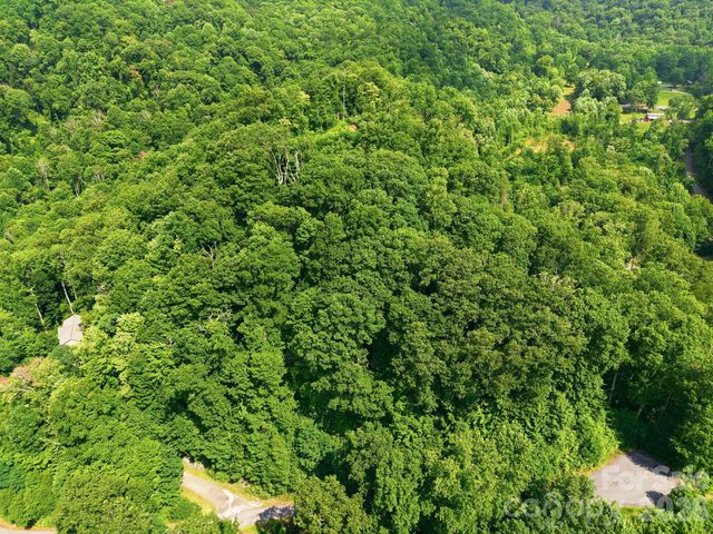 00 Triple Creek Drive 43, Clyde, NC 28721