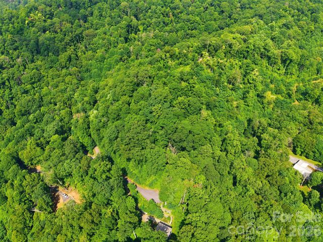 00 Triple Creek Drive 43, Clyde, NC 28721