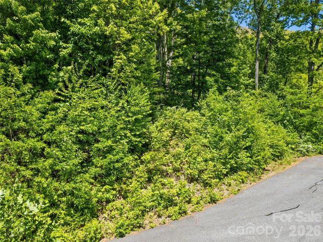 00 Triple Creek Drive 43, Clyde, NC 28721