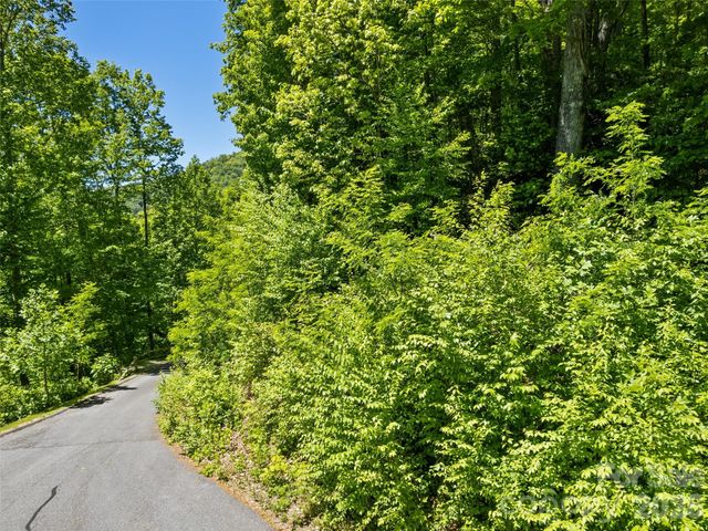 00 Triple Creek Drive 43, Clyde, NC 28721