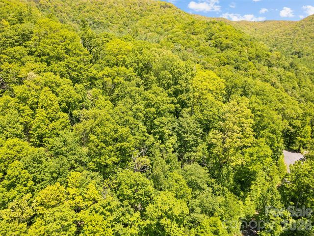 00 Triple Creek Drive 43, Clyde, NC 28721