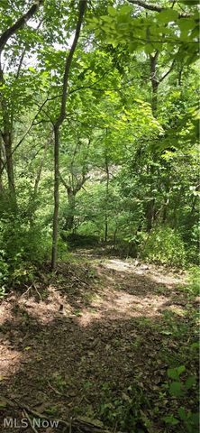 5170 State Route 821, Whipple, OH 45788