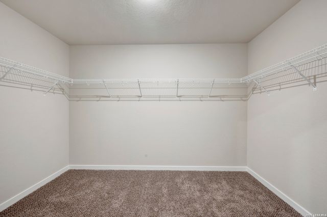 13619 Beebrush Saddle, San Antonio, TX 78253