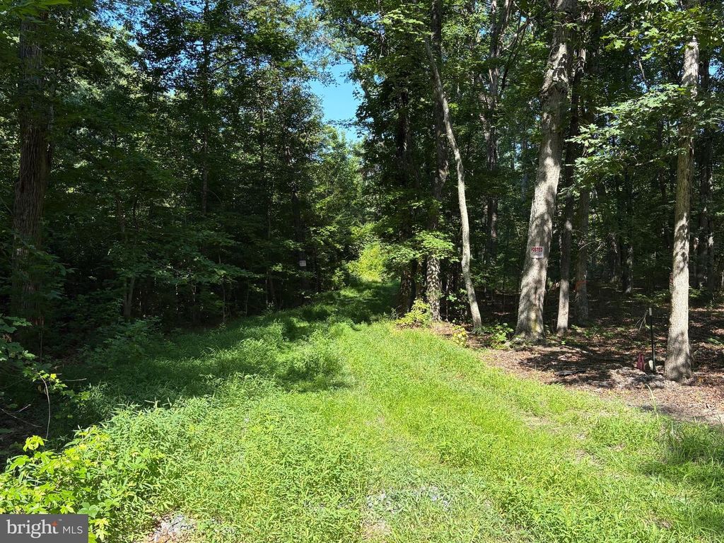 23 TAYLOR RD, Louisa, VA 23093