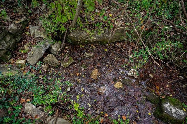 301 Everett St, W, Sparta, TN 38583