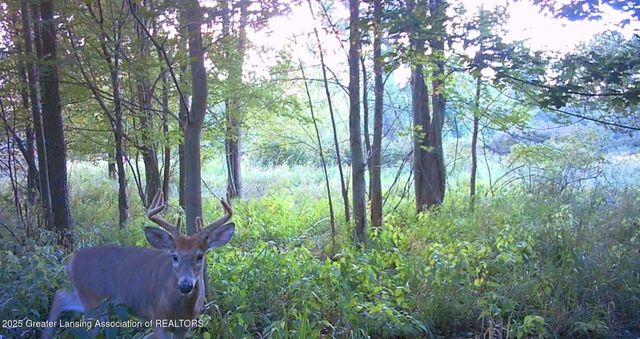 2632 Narrow Lake Road, Charlotte, MI 48813