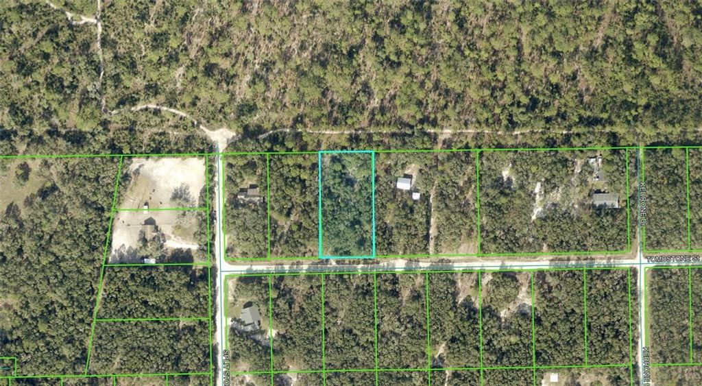 TOMBSTONE STREET, Webster, FL 33597