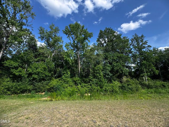 115 S Keatts Winner Court, Clayton, NC 27520