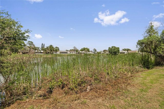 7906 GEORGE WASHINGTON LANE, Tampa, FL 33637