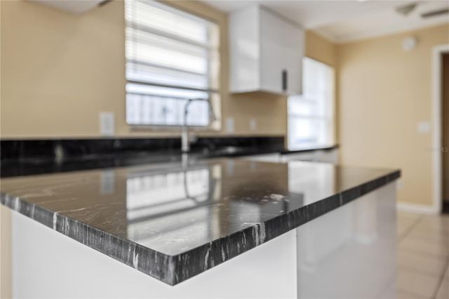 7906 GEORGE WASHINGTON LANE, Tampa, FL 33637