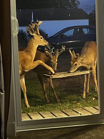 2410 STURDEVANT STREET, Merrill, WI 54452