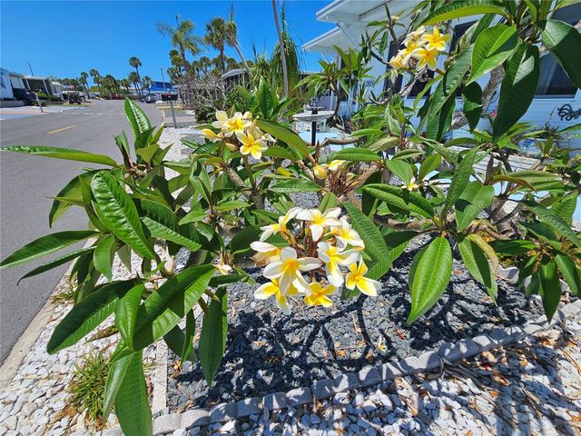 205 VIA VENETO, Venice, FL 34285