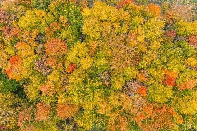 945 S Nixon Camp Road, Turtle Creek Twp, OH 45054